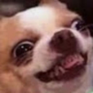 Meet your Posher, Miranda